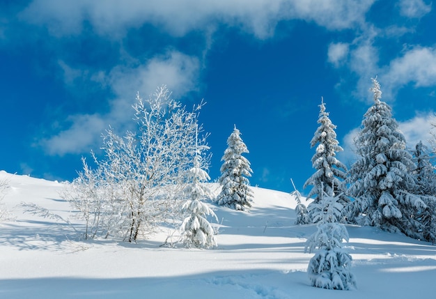 Winterberg besneeuwd landschap