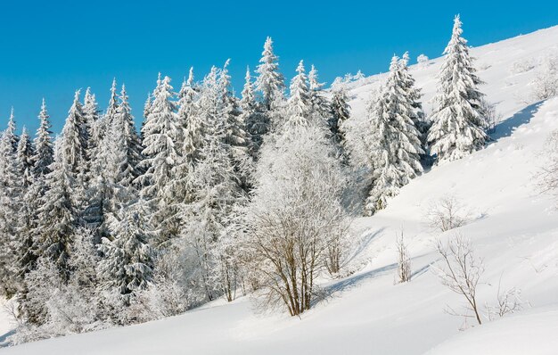 Winterberg besneeuwd landschap