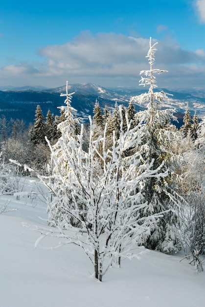 Winterberg besneeuwd landschap