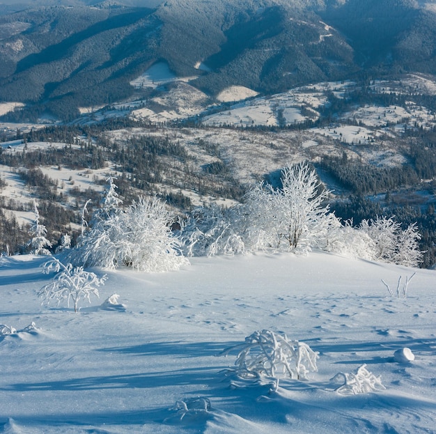 Winterberg besneeuwd landschap