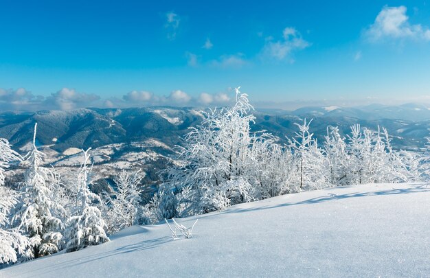 Winterberg besneeuwd landschap