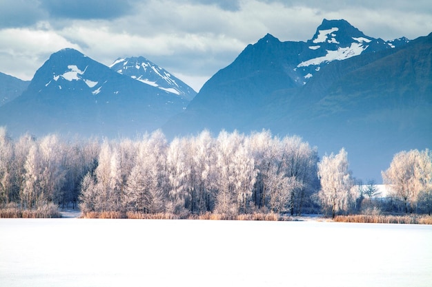 Winterbergen Noorwegen