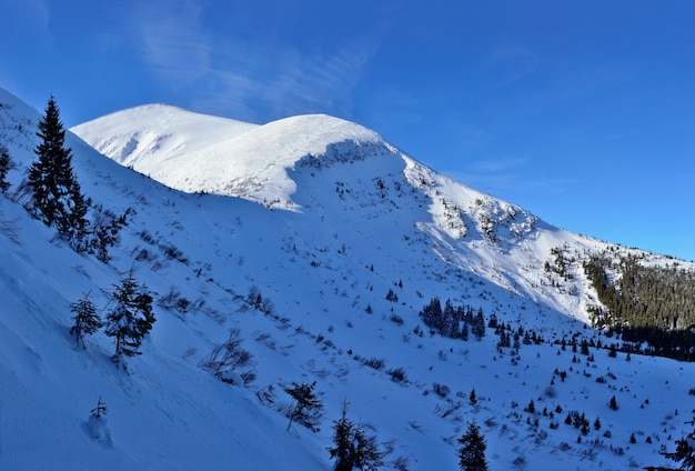 Winterberglandschap in de Karpaten, Oekraïne