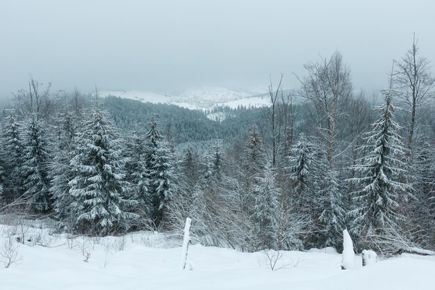 Winterberglandschap in de vroege ochtend