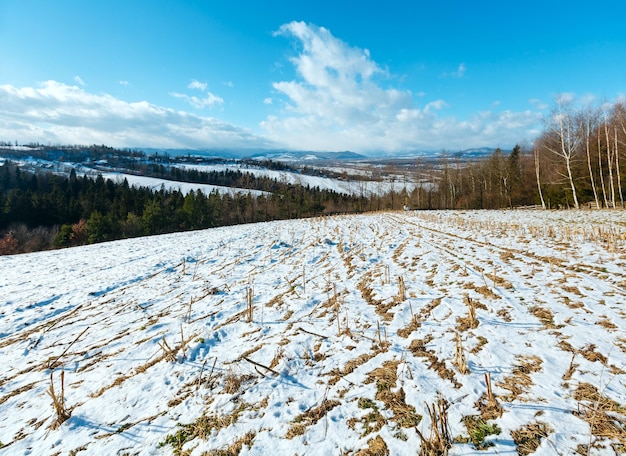 Winterberglandschap met veldbos en dorp in de verte