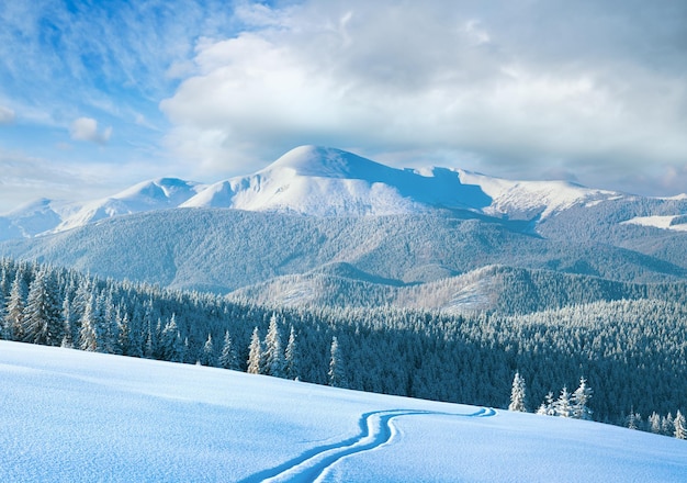 Winterbergpanorama met skipiste