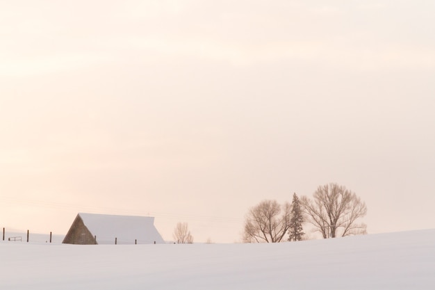 Winterboerderij in Steamboat Springs, Colorado.