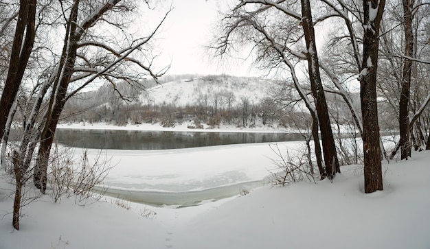 Winterbos aan de oevers van de rivier de don, op het oppervlak van de krijtbergen. bevriezende vijver gefotografeerd in rusland.