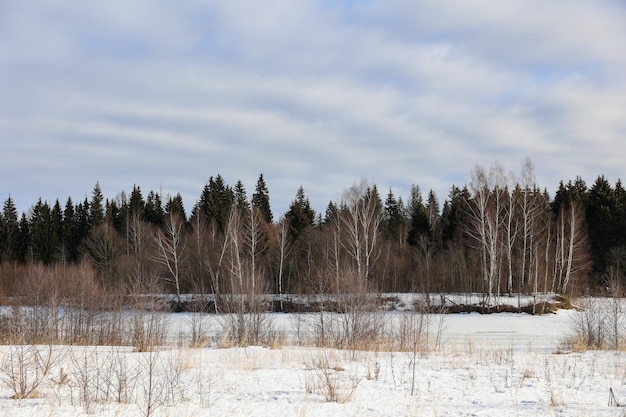 Winterbos en rivier tegen het nevelwoud