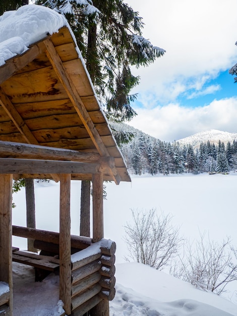 Winterbos in de Karpaten