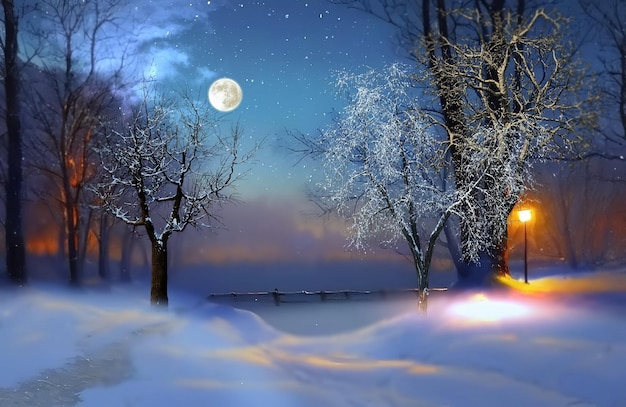 winterbos, stadsparkbomen bedekt met sneeuw noorderlicht, zonsonderganglicht op de sterrenhemel