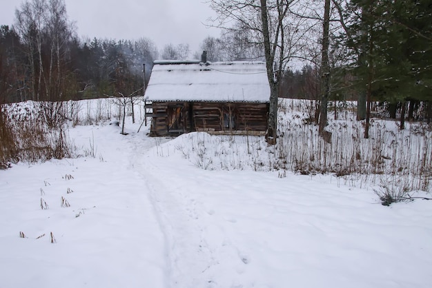 Winterdag in Letland Europa Schilderachtig uitzicht op de natuur