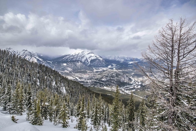 Winterdagtocht in de besneeuwde bergen bij de Banff Gondola, Alberta, Canada