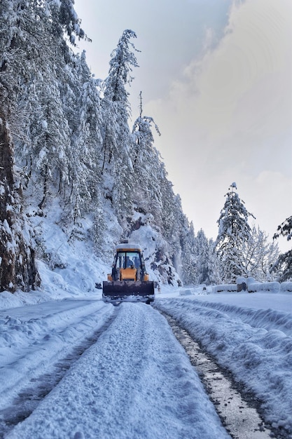Winterdienst cleaning snow on road