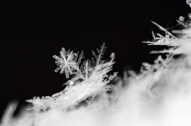 winterfoto van sneeuwvlokken in de sneeuw