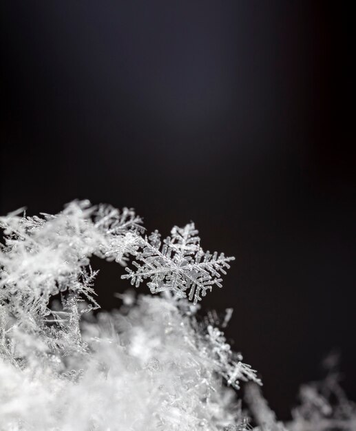 winterfoto van sneeuwvlokken in de sneeuw