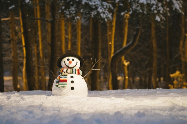 Winterkaart met een vrolijke sneeuwman in een besneeuwd park