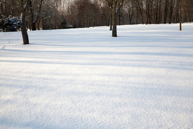 Winterkoud weer na de sneeuwval, sneeuwafwijkingen in de winter, diepe sneeuwafwijkingen na de laatste sneeuwval