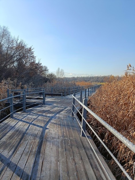 Winterlandschap aan de rivier