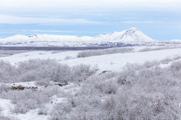 Winterlandschap IJsland