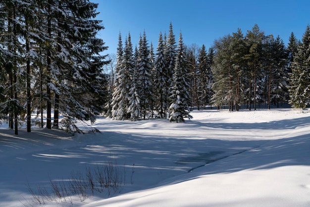 Winterlandschap in Catherine Park van Tsarskoye Selo op een winterse dag Poesjkin Sint-Petersburg, Rusland