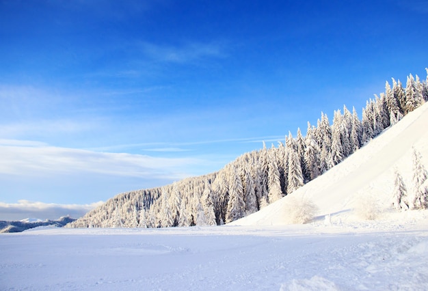 Winterlandschap in de bergen