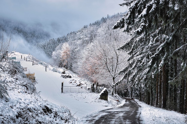 Winterlandschap in de bergen