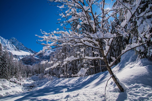 Winterlandschap in de franse alpen