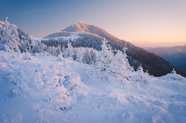 Winterlandschap in de ochtend