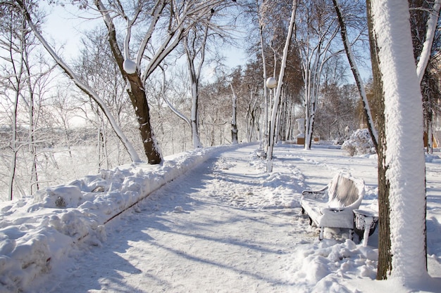 Winterlandschap in het park