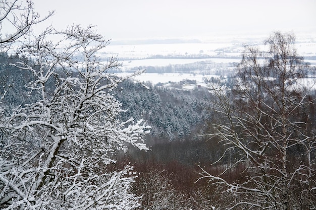 winterlandschap in Hohenlohe