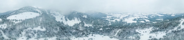 Winterlandschap in mist met sneeuw en takken bedekt met rijp en bevroren sneeuw foto van hoge kwaliteit