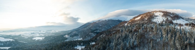 Winterlandschap in mist met sneeuw en takken bedekt met rijp en bevroren sneeuw Foto van hoge kwaliteit