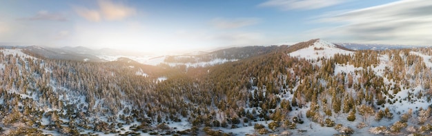 Winterlandschap in mist met sneeuw en takken bedekt met rijp en bevroren sneeuw Foto van hoge kwaliteit