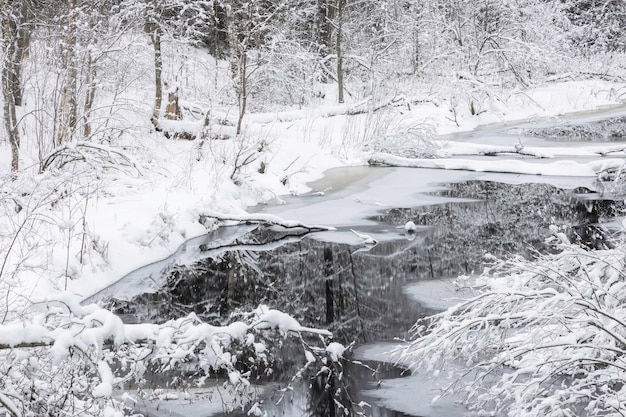 Foto winterlandschap. khikhniyoki-rivier, republiek karelië, rusland