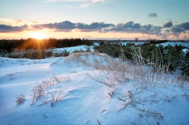 Winterlandschap met avondrood. Zonsondergang in besneeuwd bos