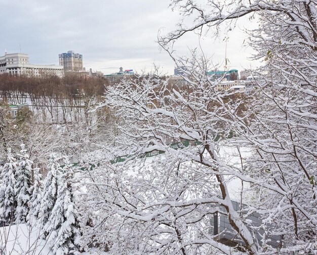 Winterlandschap met bankjes in het steegje van park