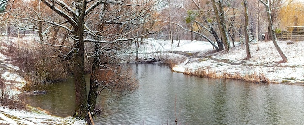 Winterlandschap met besneeuwde bomen en struiken aan de oever van een rivier of meer Koude winterdag