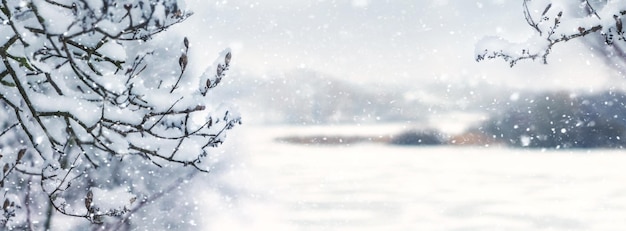 Winterlandschap met besneeuwde boomtakken in de buurt van een besneeuwde rivier tijdens een sneeuwval