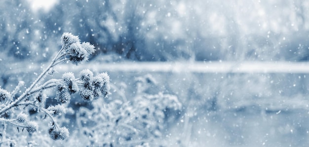 Winterlandschap met besneeuwde planten bij de rivier tijdens sneeuwval