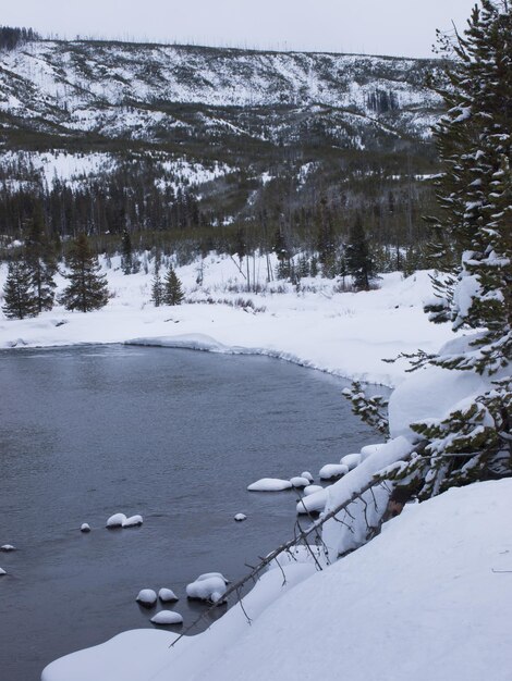 Winterlandschap met bevroren rivier in het Great Teton National Park.