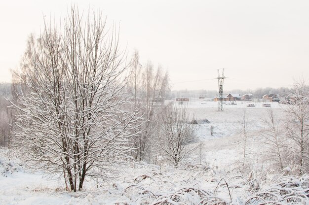 Winterlandschap met bomen in de sneeuw op een wazige achtergrond van een dorp en een elektriciteitspaal