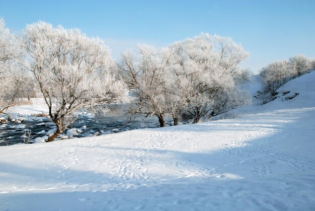 Winterlandschap met bomen in rijm in de buurt van rivier op zonnige dag. Horizontaal buiten schot.