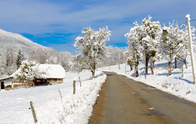 Winterlandschap met een blauwe lucht