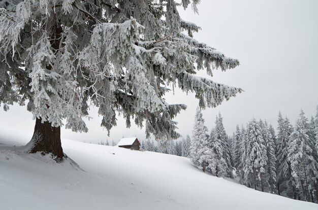 Winterlandschap met hut in een bergbos