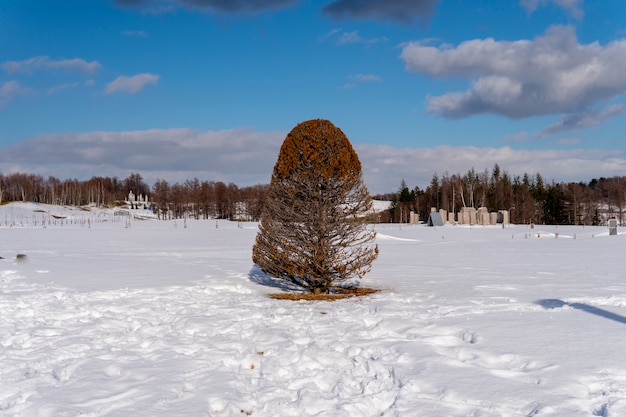 Winterlandschap met natuurlijke weergave