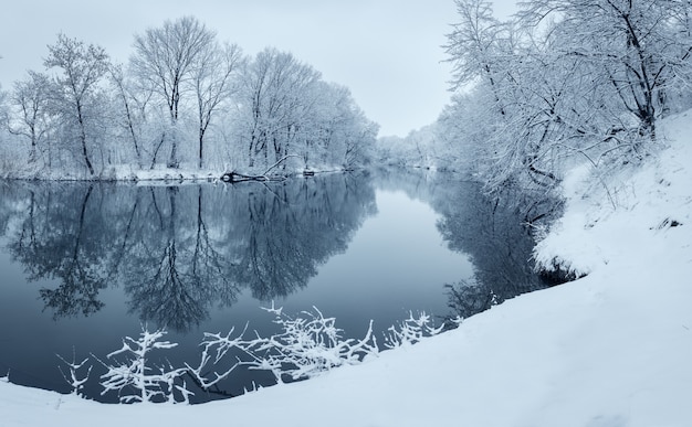 Winterlandschap met rivier in bos