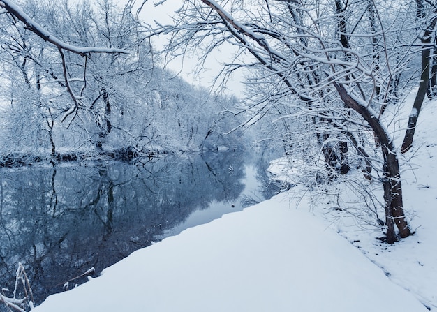 Winterlandschap met rivier in bos