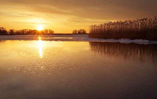 Winterlandschap met rivier, riet en avondrood. Prachtig winterlandschap. Samenstelling van de natuur.