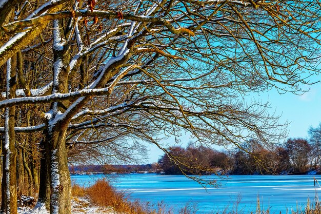 Winterlandschap met sneeuw bedekte bomen door de rivier op een zonnige dag